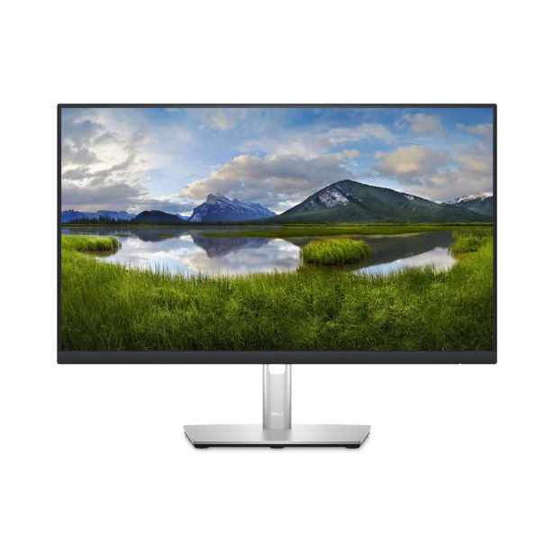 RAČUNALNIŠKI MONITOR DELL P2423D QHD IPS LED