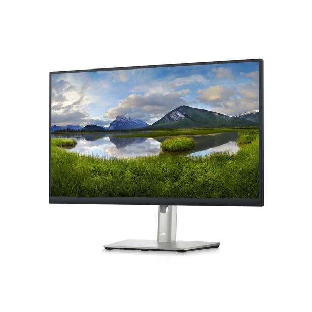 RAČUNALNIŠKI MONITOR DELL P2423D QHD IPS LED