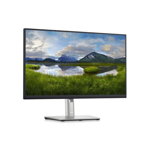 RAČUNALNIŠKI MONITOR DELL P2423D QHD IPS LED