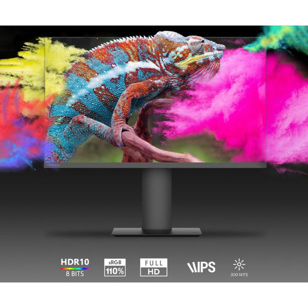 RAČUNALNIŠKI MONITOR THOMSON M27FB5C14 100 HZ