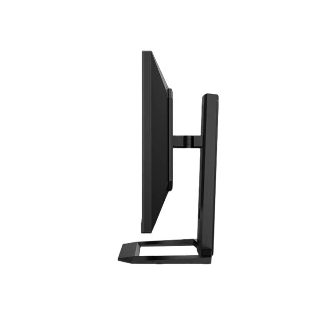 RAČUNALNIŠKI MONITOR TITAN ARMY FAST IPS P2510H-PRO