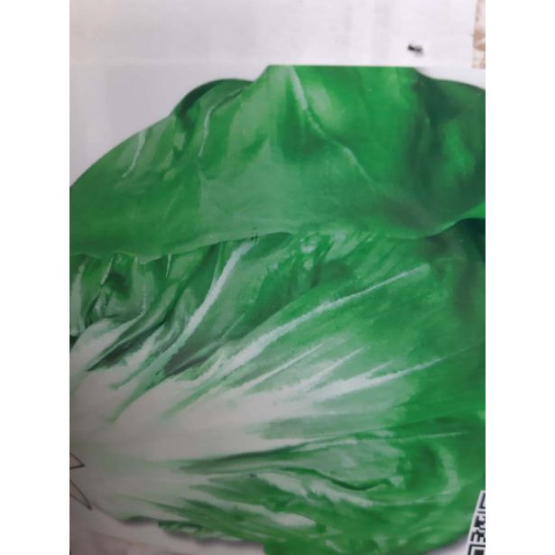 LISTNA ZELENJAVA L'ORTO FRUTTIFERO RADIČ 8/1 CAPP. FELSINEA KULTIPAK