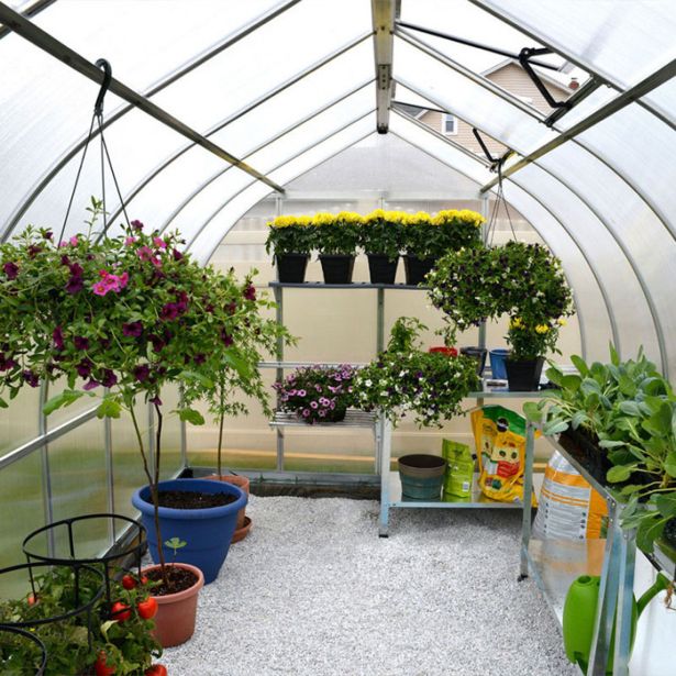 POLIKARBONATNI RASTLINJAK PALRAM BELLA 8X20 SREBRNA Š244 X D613 X V219