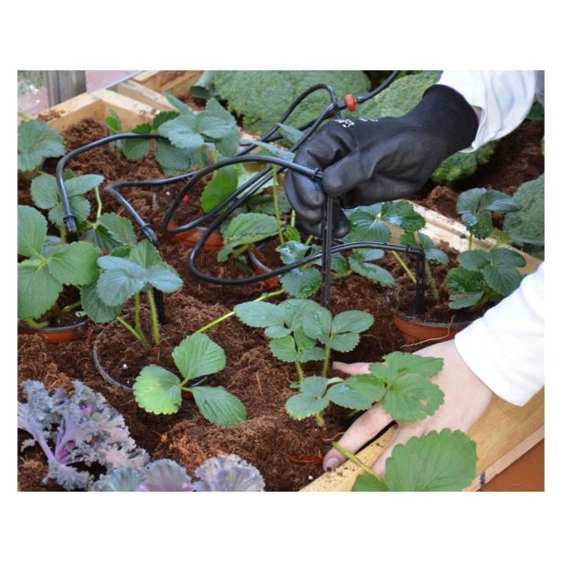 RASTLINJAK BELLA 8X8 + KOMPLET ZA KAPLJIČNO NAMAKANJE.