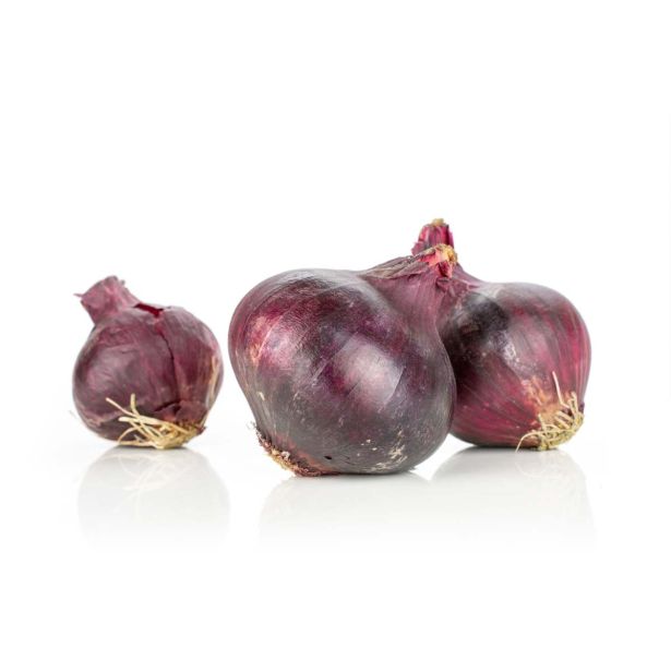 ČEBULA L'ORTO FRUTTIFERO RDEČA 9/1 DI MILANO KULTIPAK