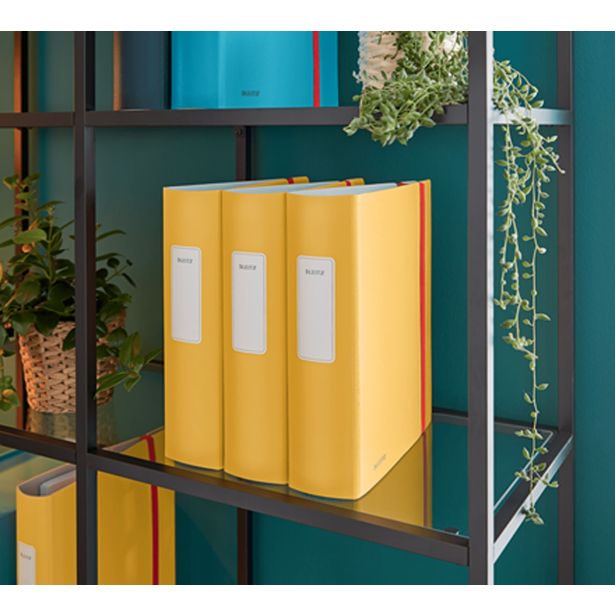 REGISTRATOR LEITZ COSY-WOW COSY RUMEN A4 2R Z ELASTIKO 80MM