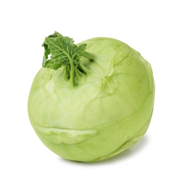 KORENOVKE L'ORTO FRUTTIFERO REPA 4/1 KORIST F1 KULTIPAK