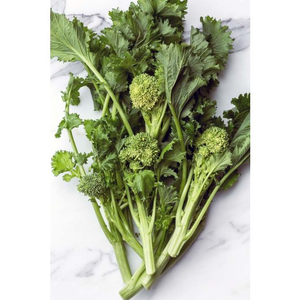 KORENOVKE L'ORTO FRUTTIFERO REPINA CIMA 8/1 RAPA SESSANTINA KULTIPAK