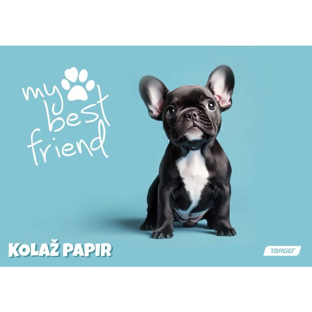 RISALNI LISTI,KOLAŽ PAPIR TARGET KOLAŽ A4 20 L MY BEST FRIENDS 100GR. 28887