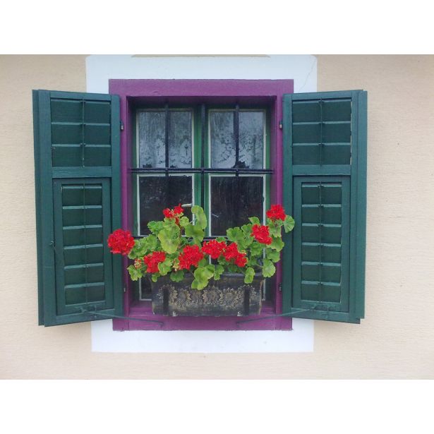 PE ZUNANJI LONEC ROTO KORITO PLANIKA VEL. S