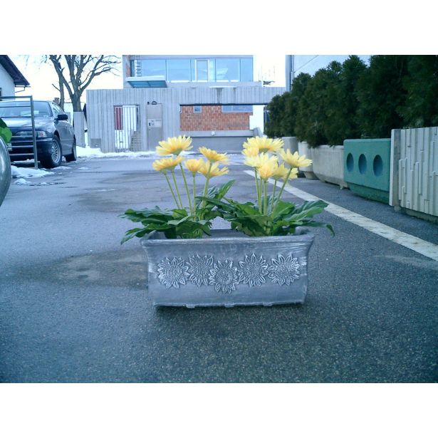 PE ZUNANJI LONEC ROTO KORITO PLANIKA VEL. S