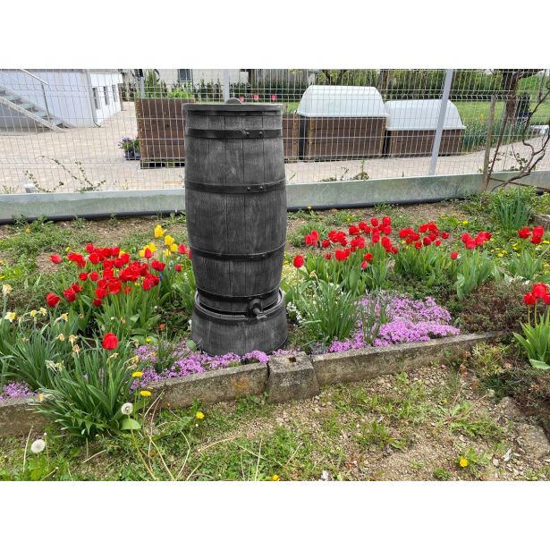 ROTO SOD ZA DEŽEVNICO 150 L SLIM