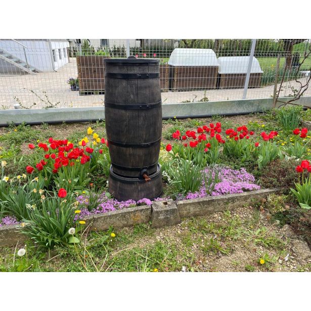 ROTO SOD ZA DEŽEVNICO 150 L SLIM