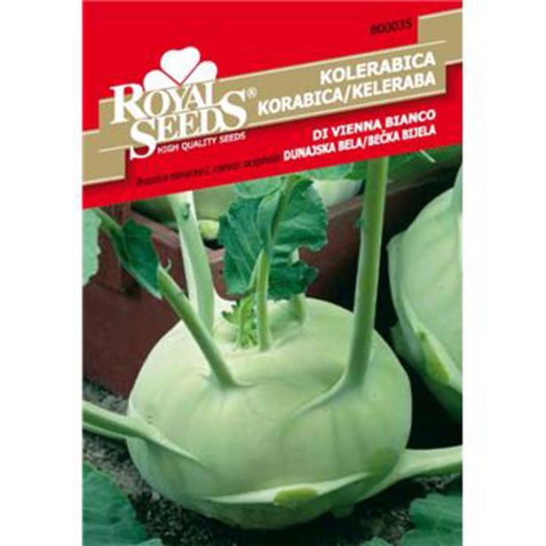 ROYAL SEEDS BELA NADZEMNA KOLERABICA DUNAJSKA BELA