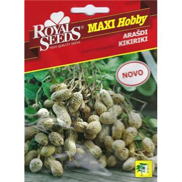 ROYAL SEEDS MAXI HOBBY ARAŠIDI