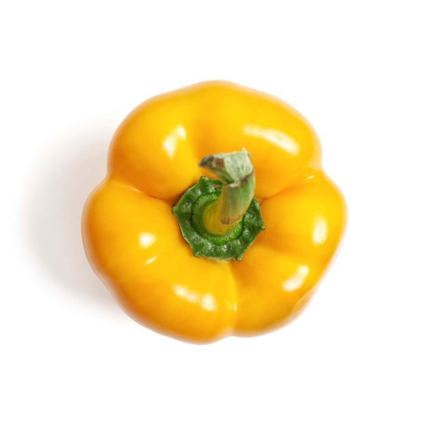 PLODOVKE L'ORTO FRUTTIFERO CEPLJENA PAPRIKA RUMENA QUADRATO PRECIUS F1 L10