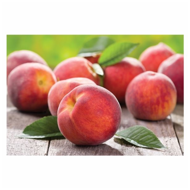 BRESKEV VOLMARY RDEČA BALKONSKA L17