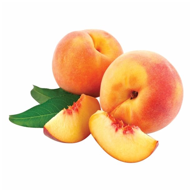 BRESKEV VOLMARY RUMENA BALKONSKA L17