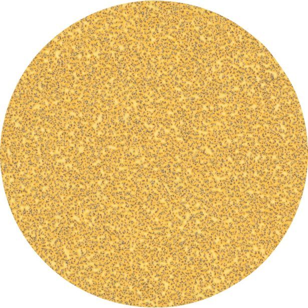 SAMOPRITRILNI BRUSNI DISK BOSCH 125MM BREZ LUKENJ G40 EXC470 ZA LES IN BARVO