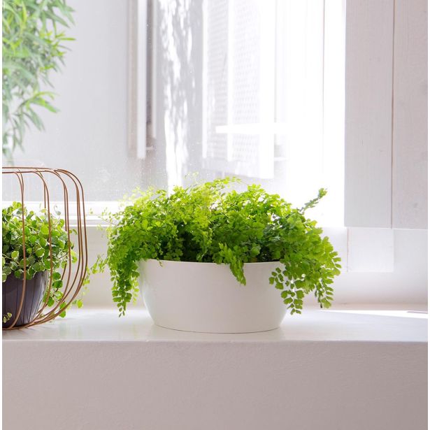 PE NOTRANJI LONEC SAN REMO GLOSSY SKLEDA BELA 23CM