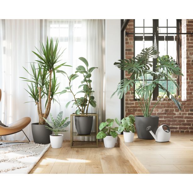 PE NOTRANJI LONEC SAN REMO MAT ANTRACIT 36CM S KOLEŠČKI