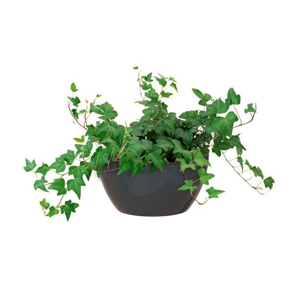 PE NOTRANJI LONEC SAN REMO SKLEDA ANTRACIT 32 CM