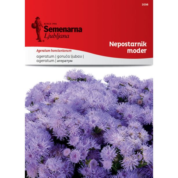 SEME CVETOČE RASTLINE SEMENARNA NEPOSTARNIK MODER 2036