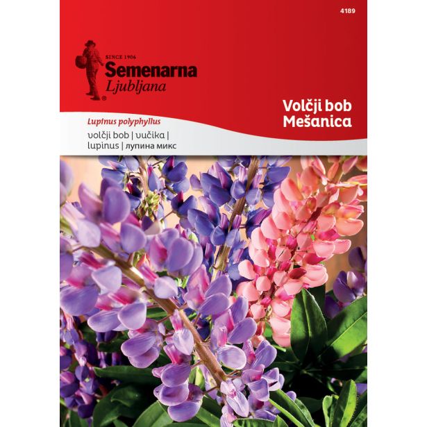 SEME CVETOČE RASTLINE SEMENARNA VOLČNJI BOB - MIX 4189 (LUPINUS POLYPHYLLUS)