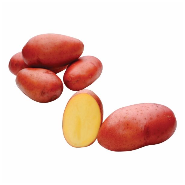 SEME KROMPIRJA SEMENARNA ROSARA 3 KG