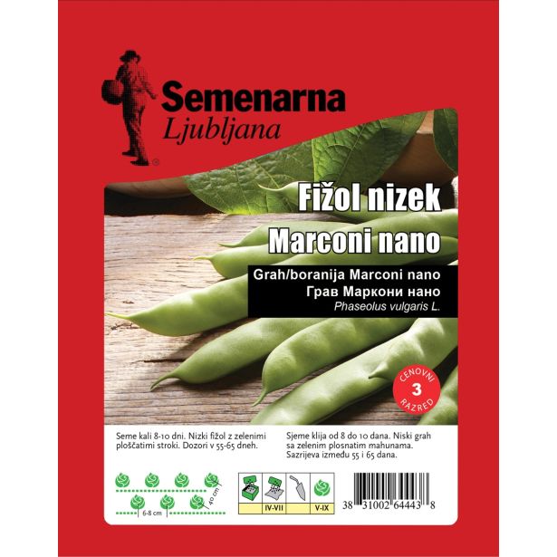 STROČNICA SEMENARNA FIŽOL NIZEK ZELEN PLOŠČAT 100 G