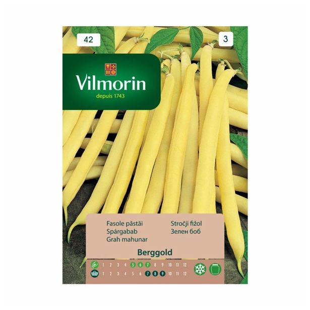 SEME STROČNIC VILMORIN FIŽOL NIZEK BERGGOLD