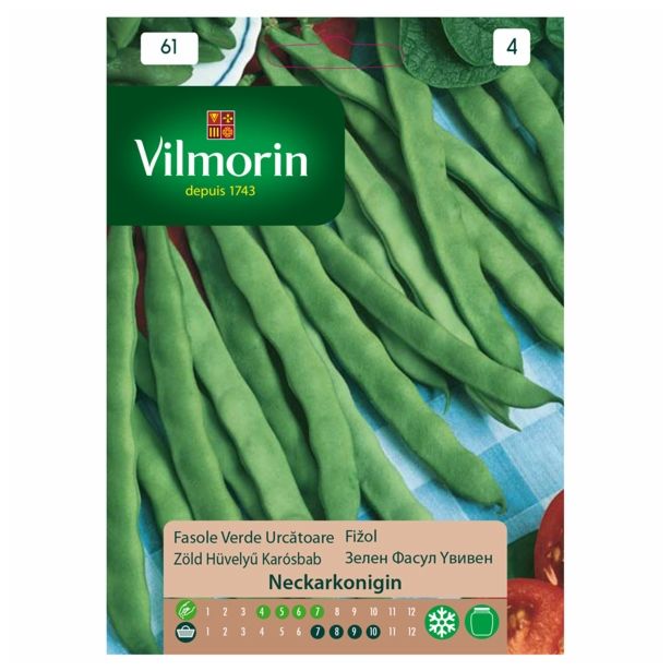 SEME STROČNIC VILMORIN FIŽOL VISOK NECKARKONIGIN