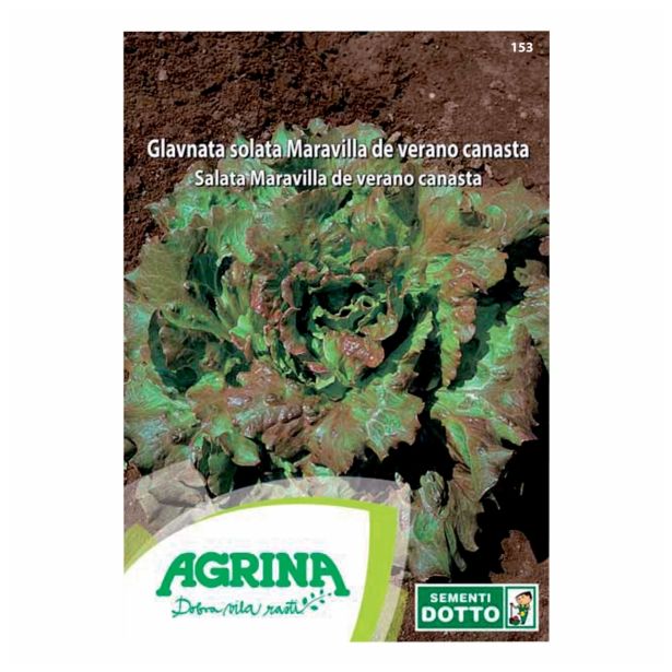 SEMENA AGRINA SOLATA CANASTA