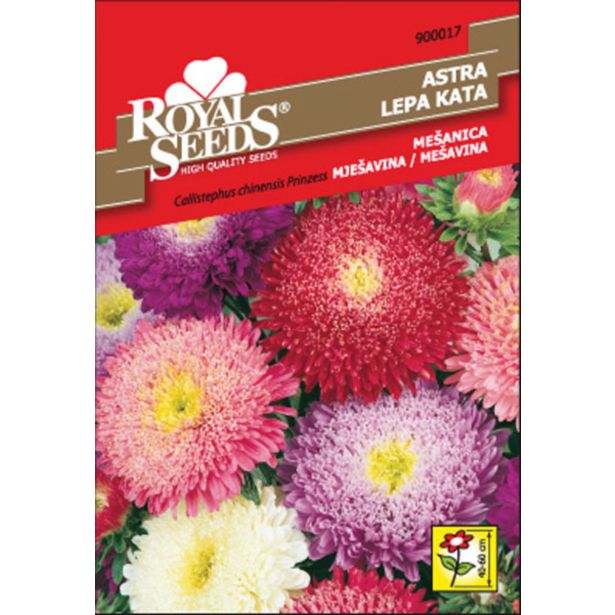 ASTRA ROYAL SEEDS PRINCES MEŠ. 17