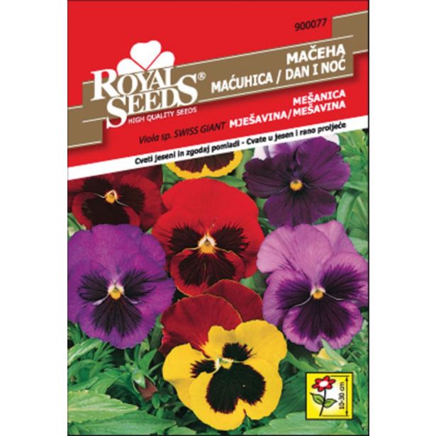SEME CVETOČE RASTLINE ROYAL SEEDS MAČEHA MEŠANICA 77