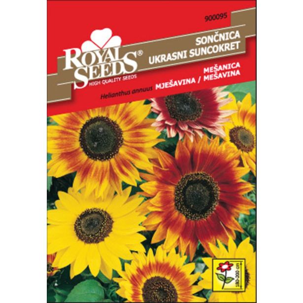 SONČNICA ROYAL SEEDS VISOKA MEŠ. 95