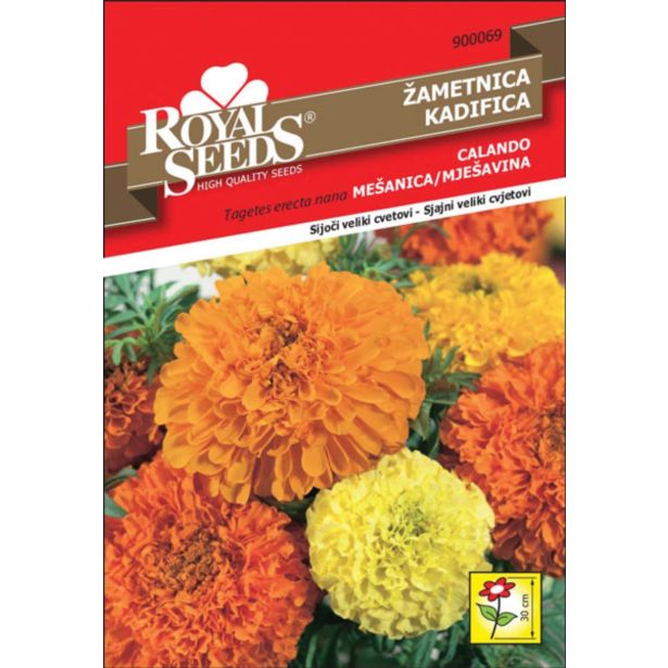 TAGETES ROYAL SEEDS ŽAMETNICA CALANDO MEŠ. 69
