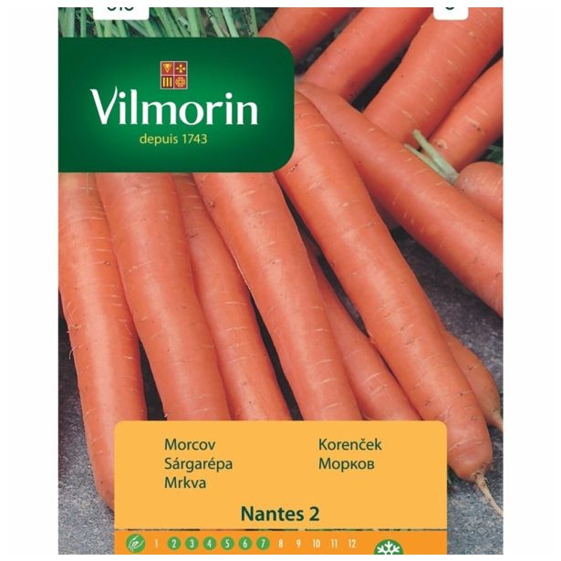 SEMENA CVETOČIH RASTLIN VILMORIN KORENJE NANTES 2