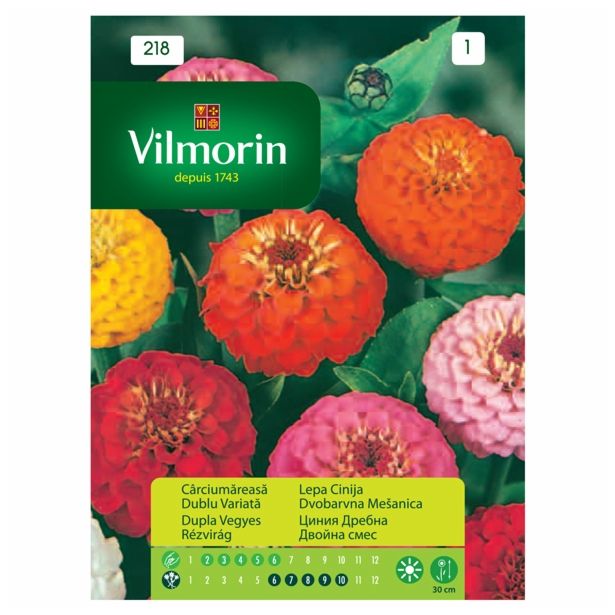 CINIJA VILMORIN LEPA DVOBARVNA MEŠANICA