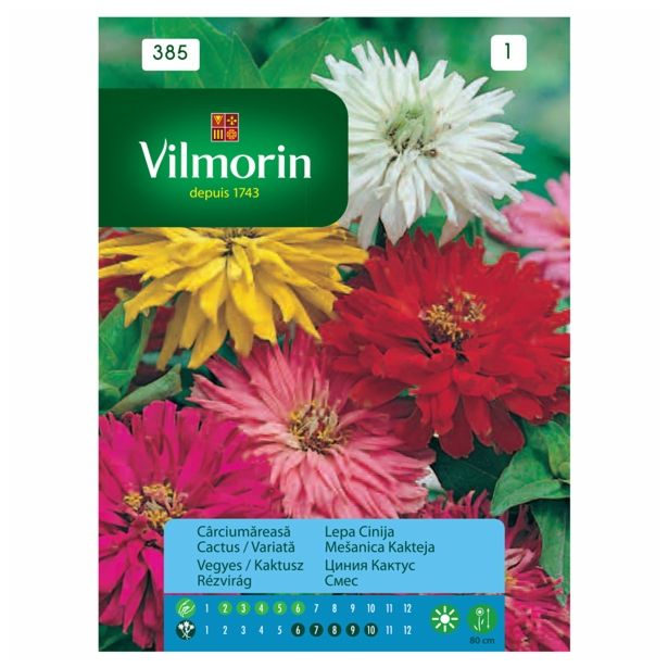 CINIJA VILMORIN LEPA MEŠANICA KAKTEJA