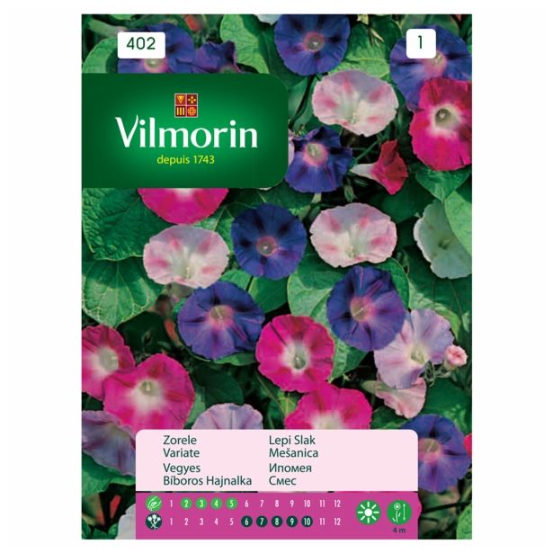 SEME CVETOČE RASTLINE VILMORIN LEPI SLAK MEŠANICA