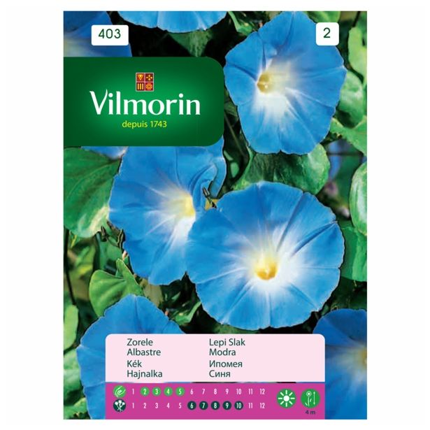 SEME CVETOČE RASTLINE VILMORIN LEPI SLAK MODER