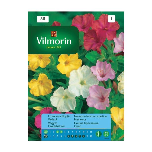 SEMENA CVETOČIH RASTLIN VILMORIN NAVADNA NOČNA FRAJLA MEŠANICA