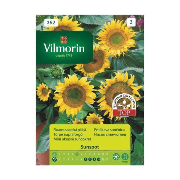 SONČNICA VILMORIN NIZKA SUNSPOT