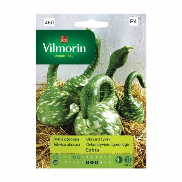 PLODOVKA VILMORIN OKRASNA BUČA COBRA