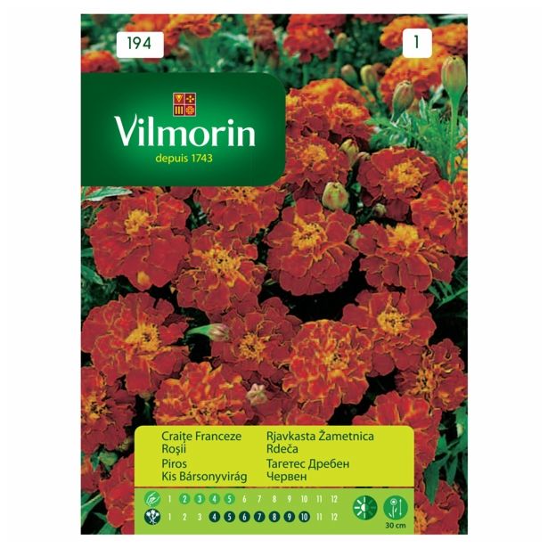 SEMENA CVETOČIH RASTLIN VILMORIN RJAVKASTA ŽAMETNICA RDEČA