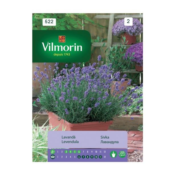 SEME DIŠAVNICE VILMORIN SIVKA