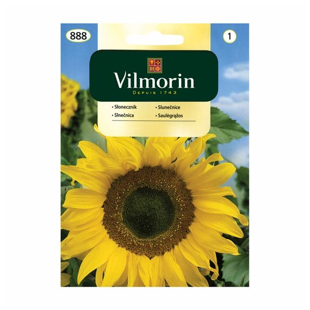 SONČNICA VILMORIN MIX