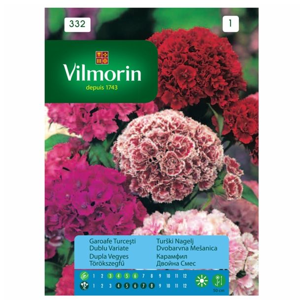 ASTRA VILMORIN TURŠKI NAGELJ DVOBARVNA MEŠANICA