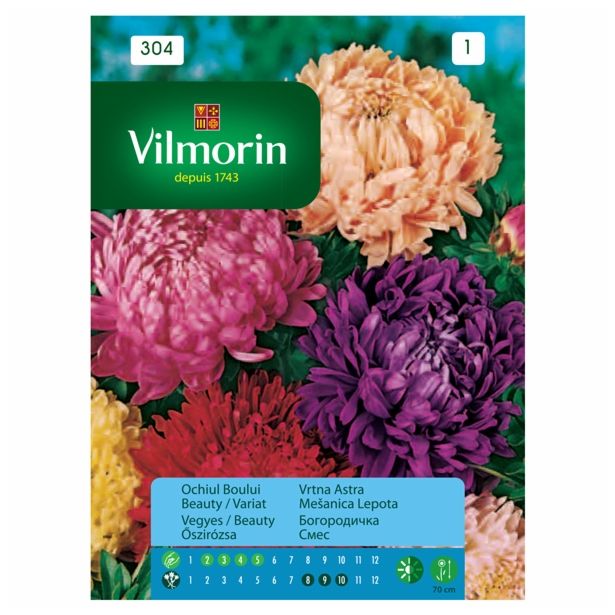 ASTRA VILMORIN VRTNA MEŠANICA LEPOTA